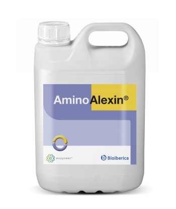 AminoAlexin